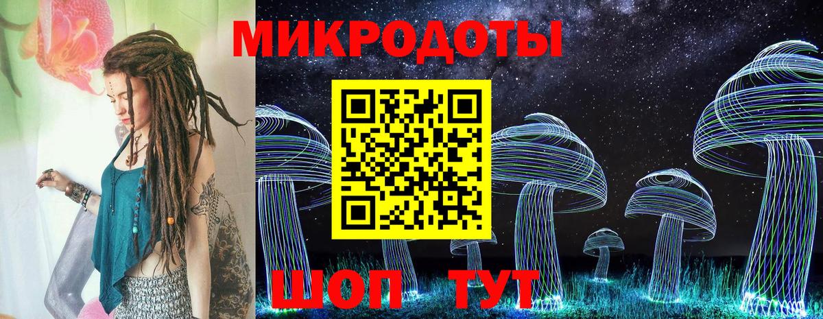 Заволжье  Псилоцибиновые грибы Psilocybe  Вход с VPN 