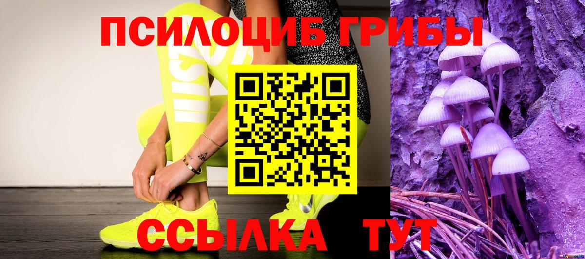 Псилоцибиновые грибы мухоморы Заволжье