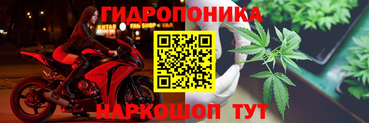 Шишки марихуана ГИДРОПОН Заволжье